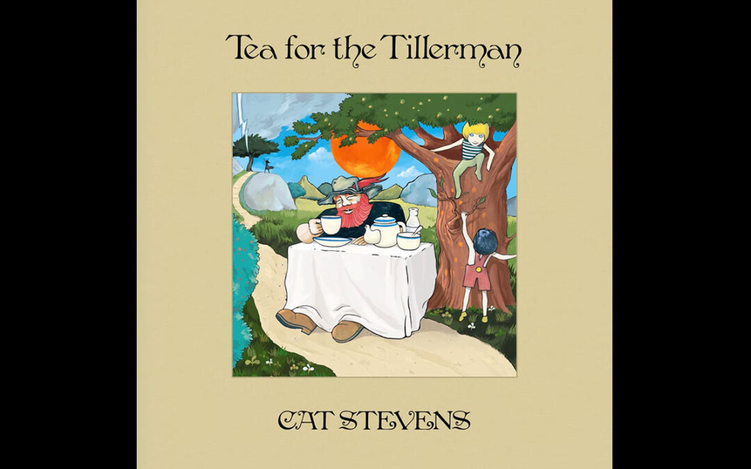 Cat Stevens Sings: Where Do The Children Play?