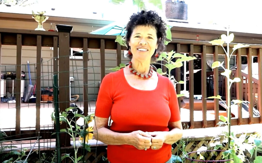 Your Invitation to Learn T’ai Chi Chih