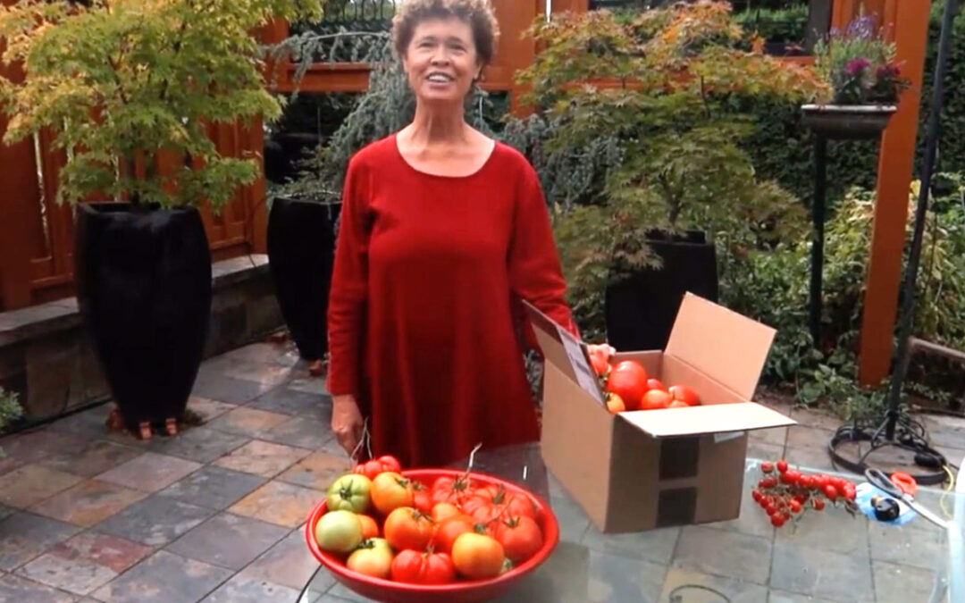How Taking Care of Your Home is Like Taking Care of Yourself