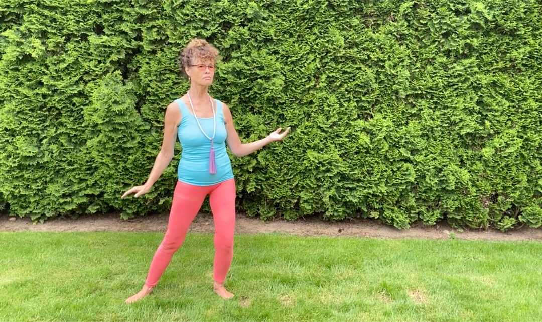 Free Live Daily T’ai Chi Chih Practices for Advanced Students